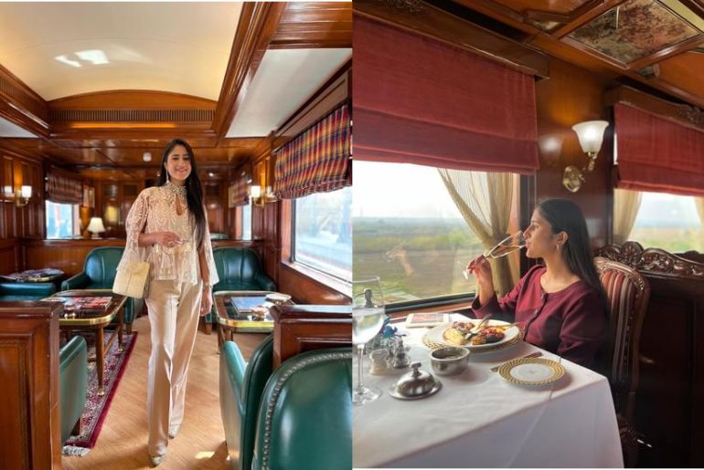 maharaja train inside view