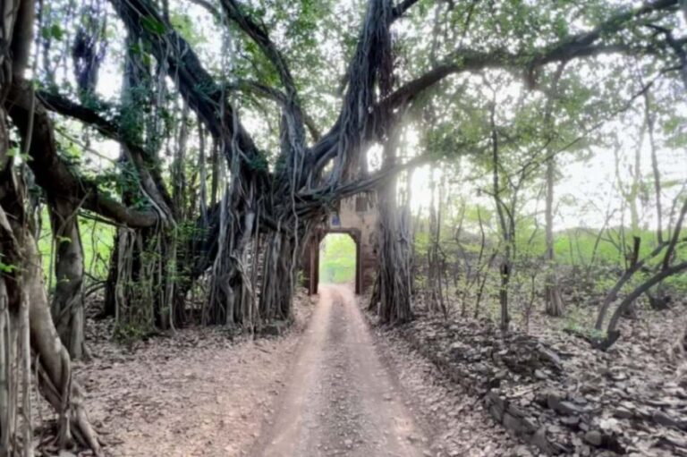 India’s Sawai Madhopur: Gateway to Wildlife and Heritage
